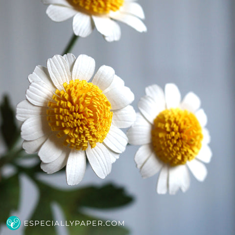 Download Feverfew 3d Paper Flower Template And Tutorial For Cricut Silhouette Especially Paper