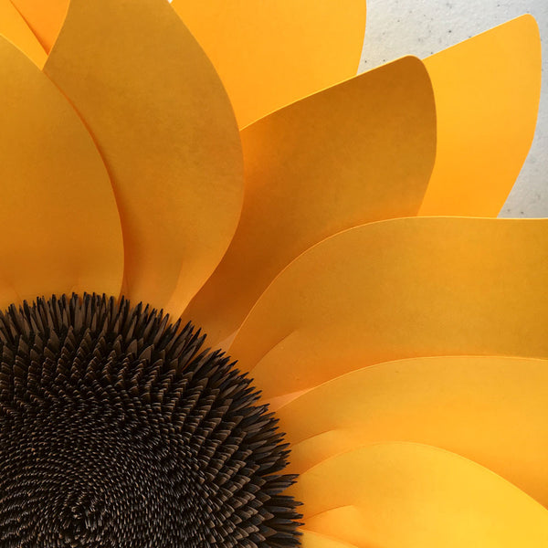 Free Free 122 Sunflower Svg Paper SVG PNG EPS DXF File