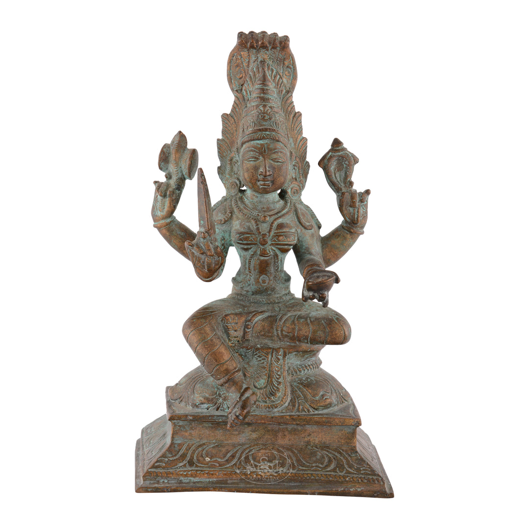 Sivagami Bronze antique statue -Rani Arts & Teak – RANI ARTS & TEAK