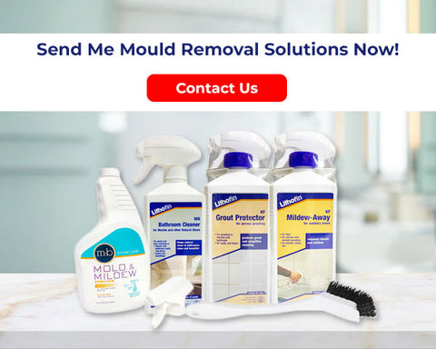 Tile Mould Removal Products
