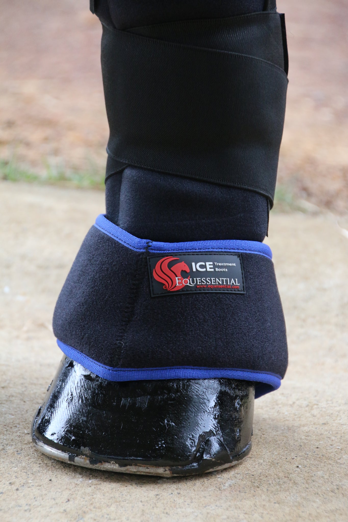 ice hock boots for horses
