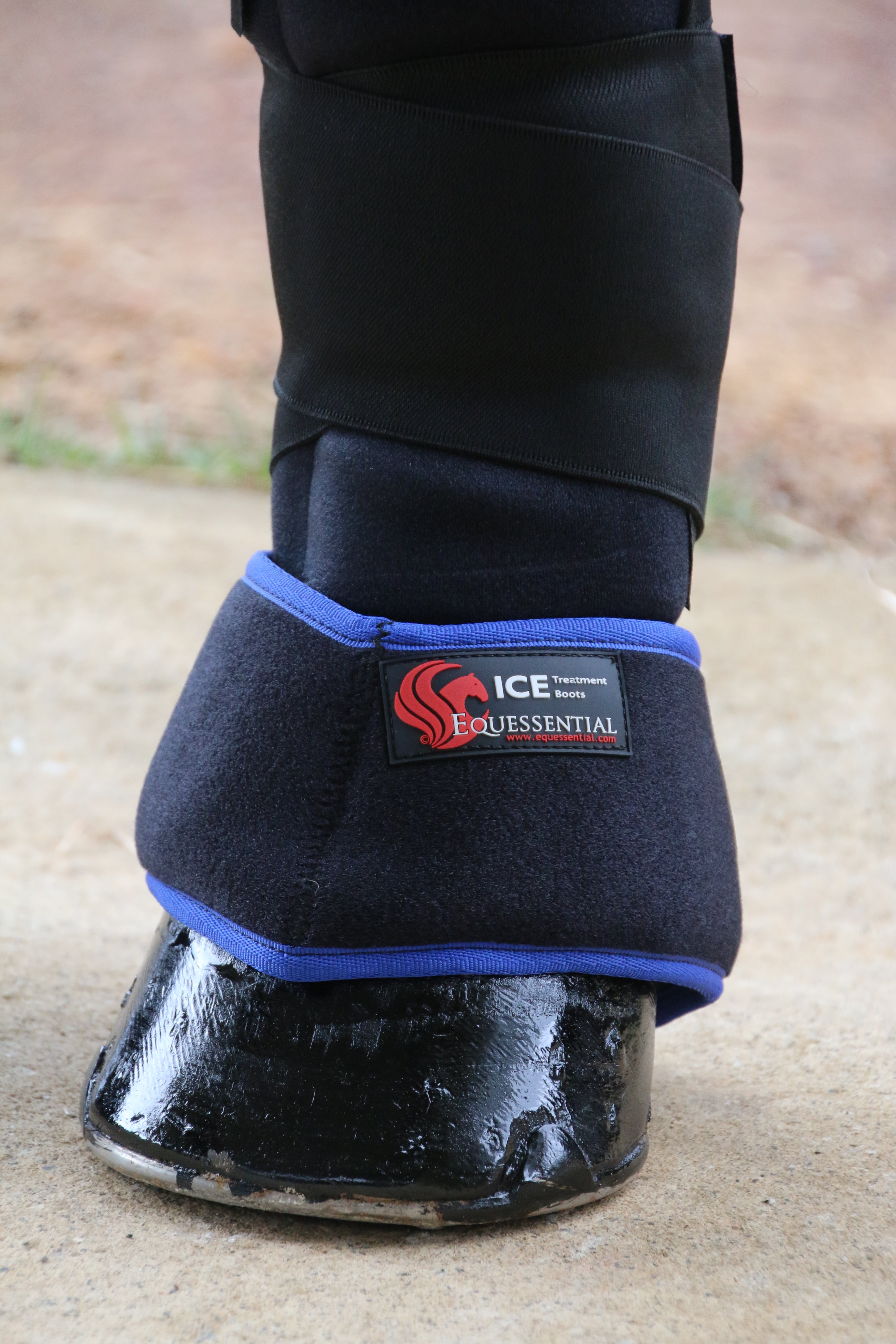 magnetic bell boots for horses