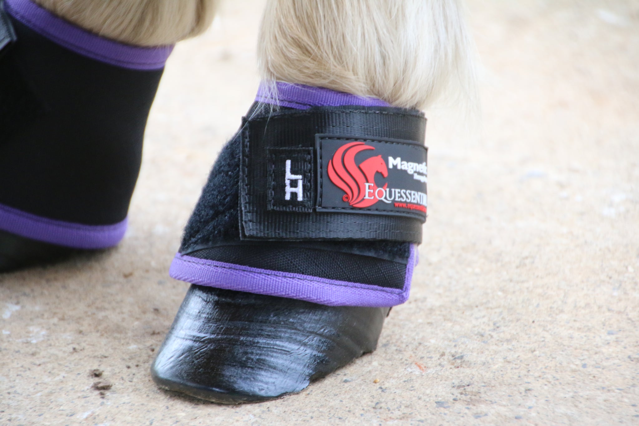 Magnetic Bell Boots – Equessential