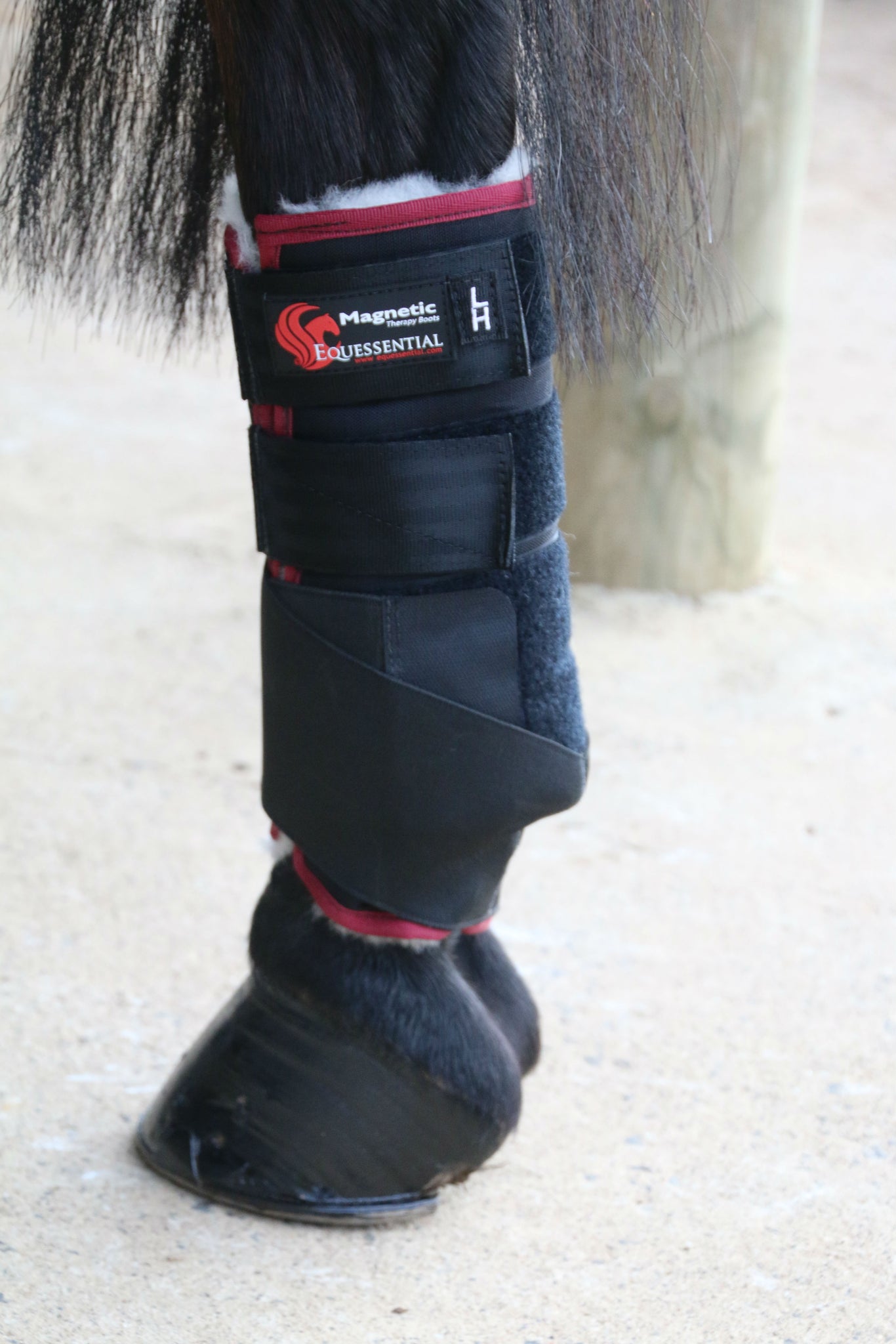 therapeutic horse boots