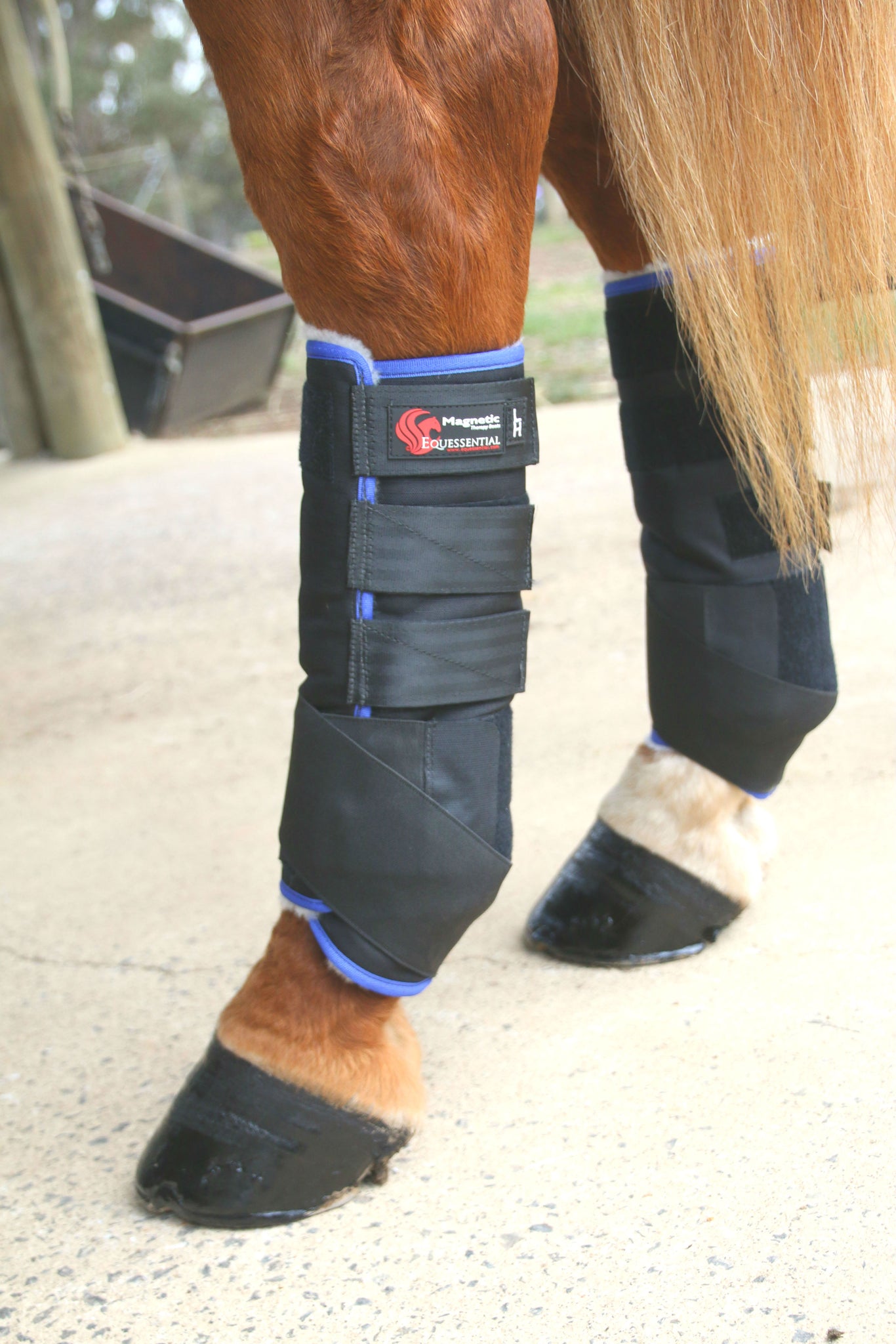magnetic boots for horses