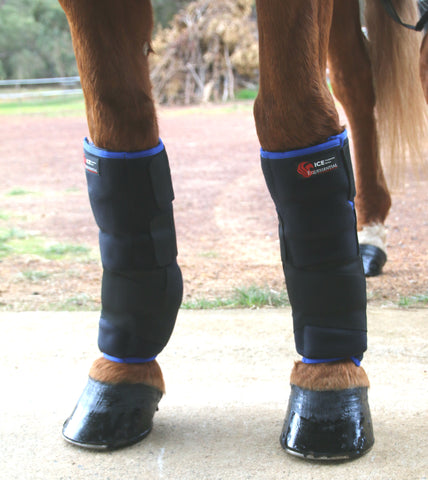 horse compression boots