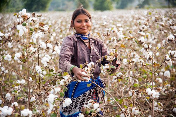 woman smiling picking cotton on a cotton farm
