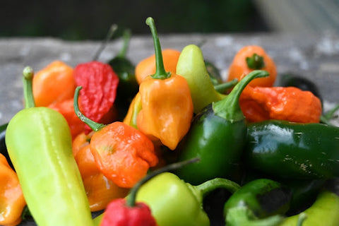 A variety of hot peppers