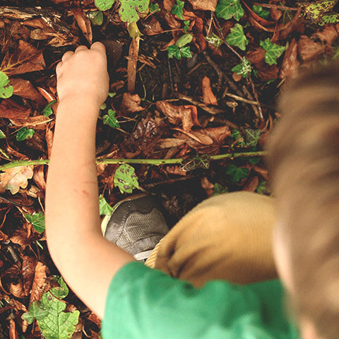 Planting seeds