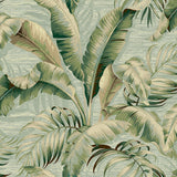 Palm leaf peel and stick wallpaper 802800WR from Tommy Bahama Home