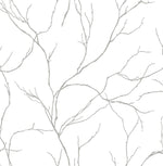 NW39008 delicate branches botanical peel and stick removable wallpaper from NextWall