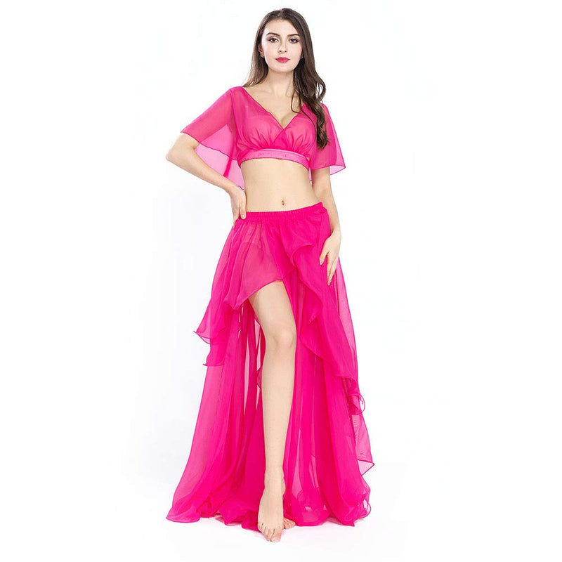 Royal Smeela Belly Dancer Costumes For Women Chiffon Belly Dance Skirt Belly Dance Top Dancing 