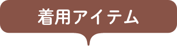 着用アイテム