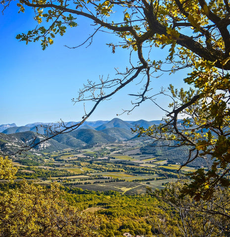 Haut de Vaucluse Baronnies