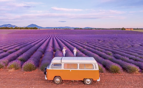 Oldtimer Van vor Lavendelfeld in der Provence 