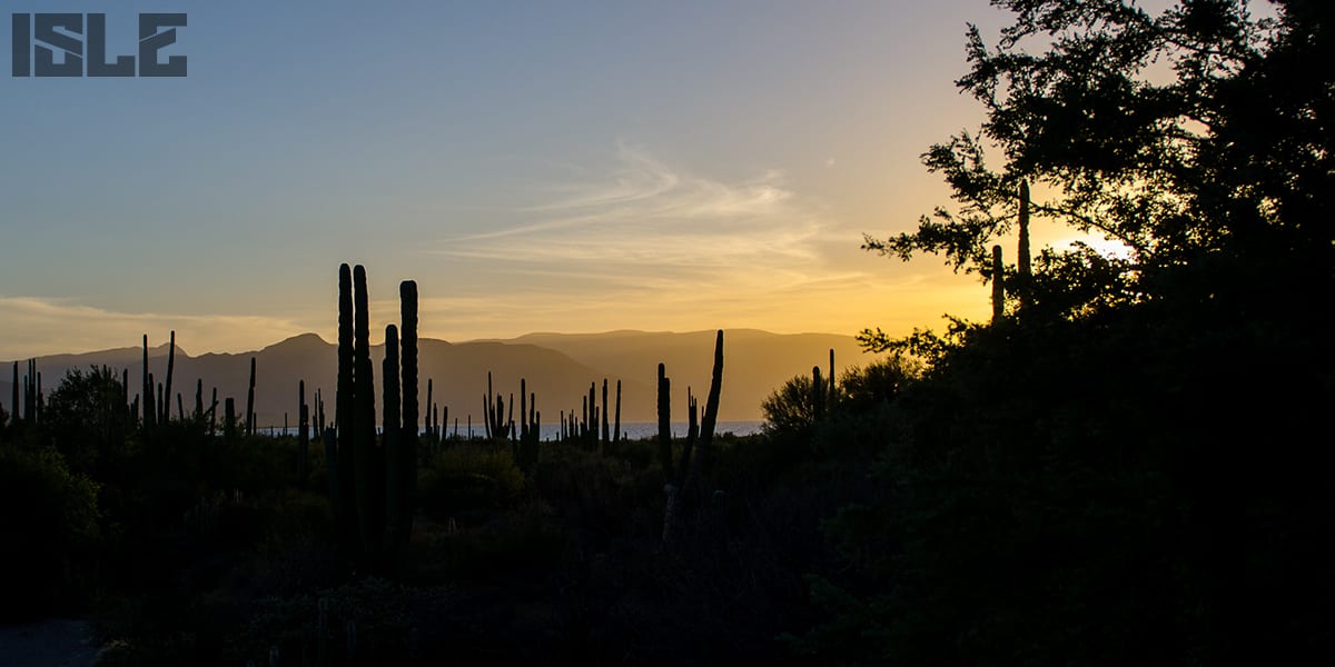 Baja California Camping