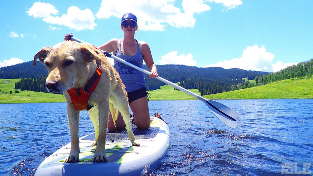 21 Photos of Paddle Boarding Dogs | ISLE Surf & SUP | Blog