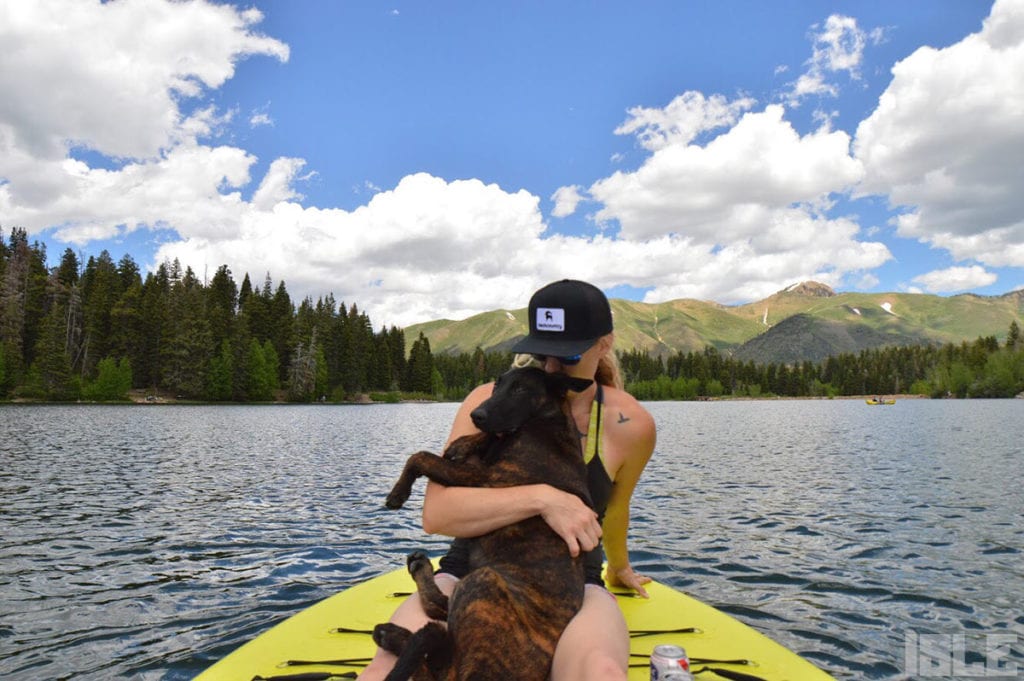 Paddle board dog