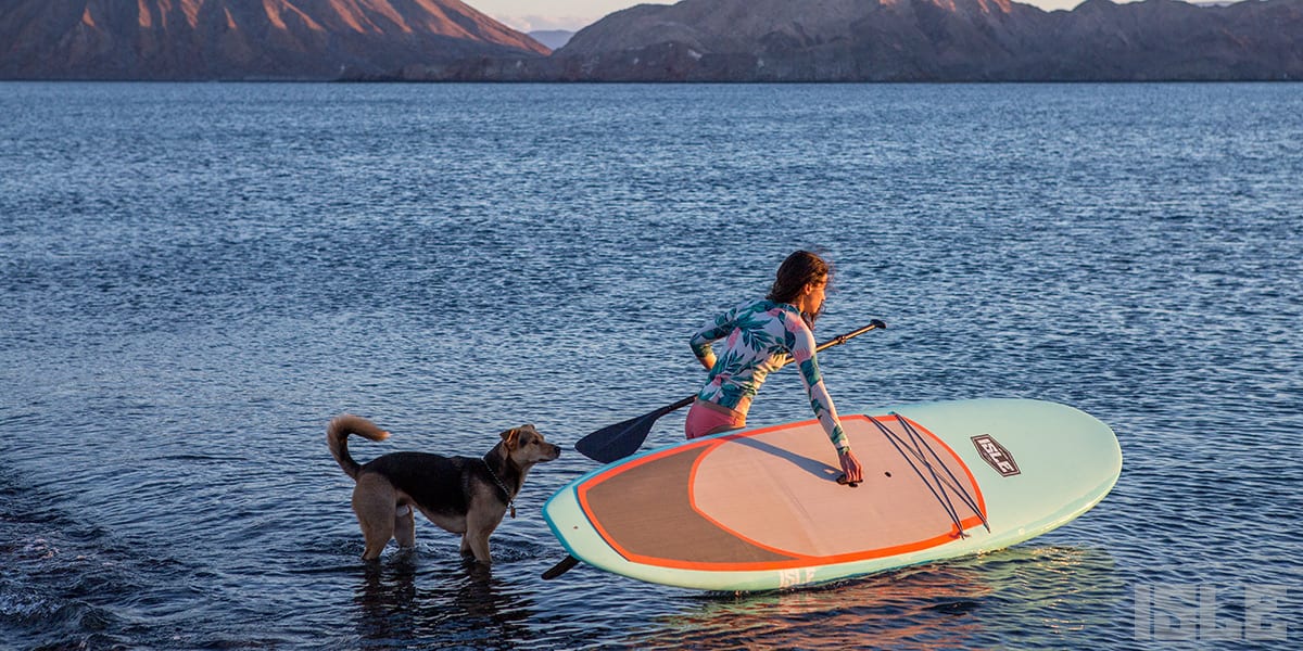 What to wear paddle boarding in any weather - Yachting World