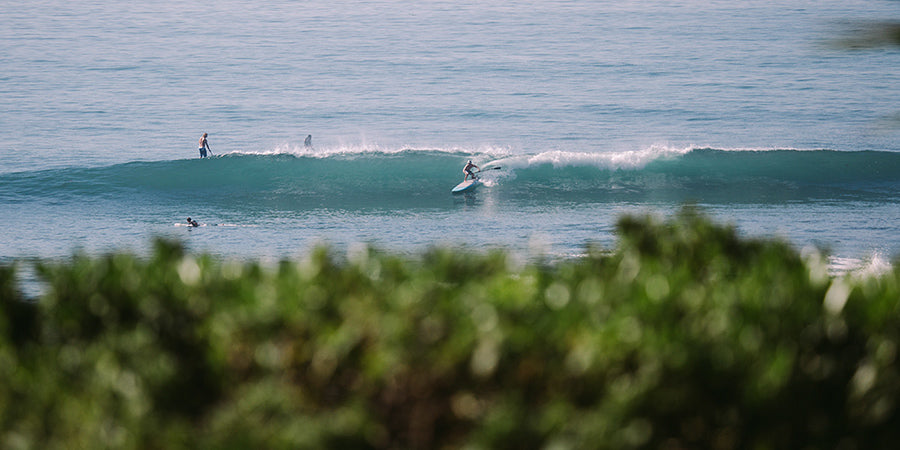 How to Choose a Stand Up Paddle Board