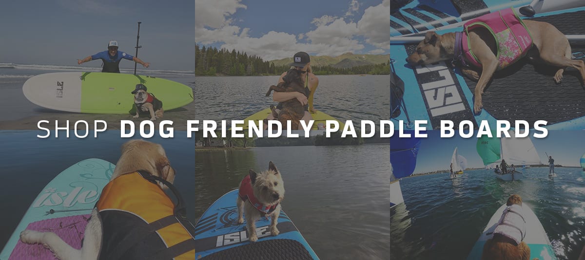 Dog friendly paddle boards