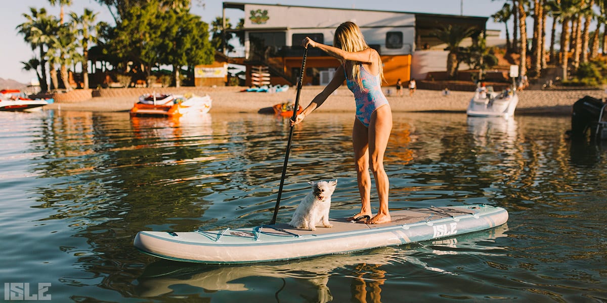 how to paddle board with your dog