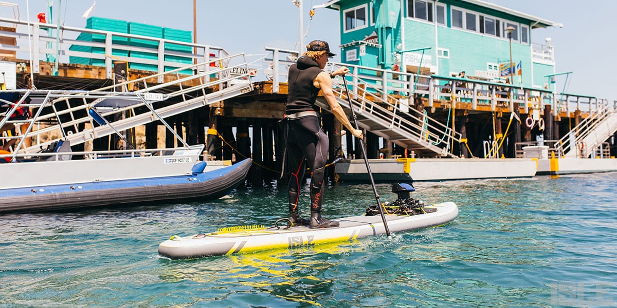 Behind the Lens of a Marine Life Photographer