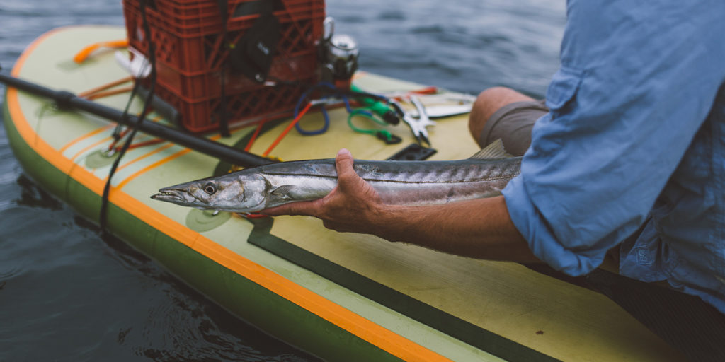 Kayak and SUP Fishing Accessories - Coastal Angler & The Angler