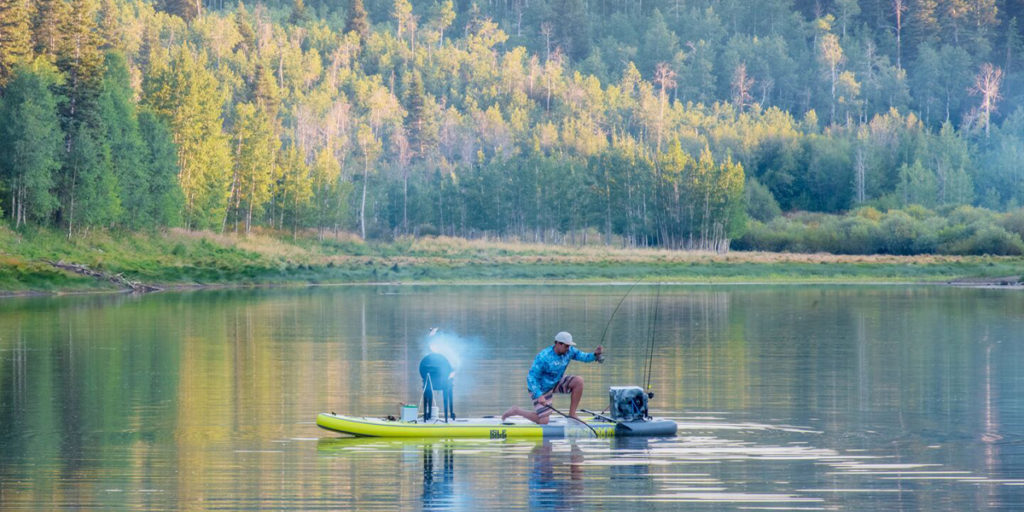 paddle board prices