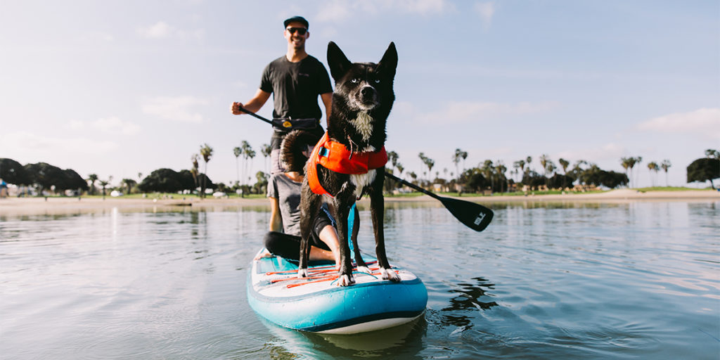 pet friendly blow up SUP