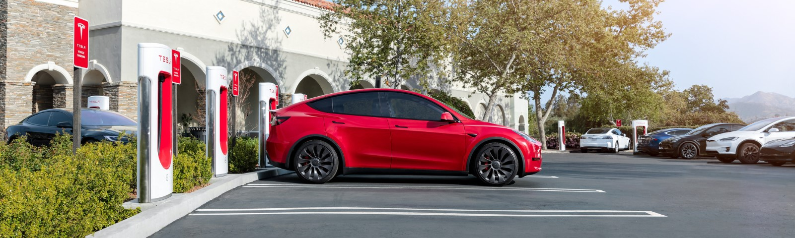 Privacy Shield / Sonnenschutz für Tesla Model Y