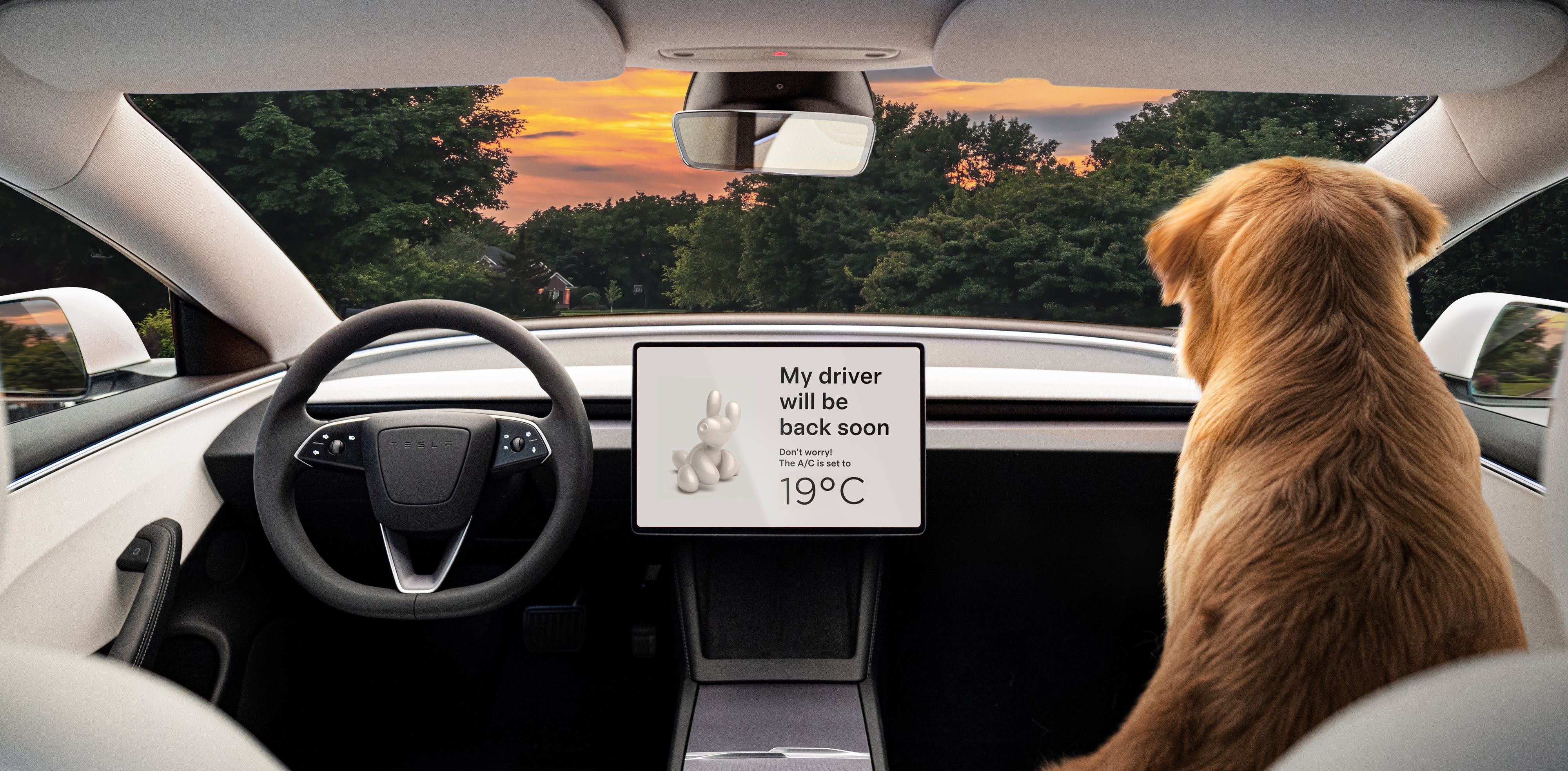 Carbon-Mittelkonsole hinten - Tesla Model S und X