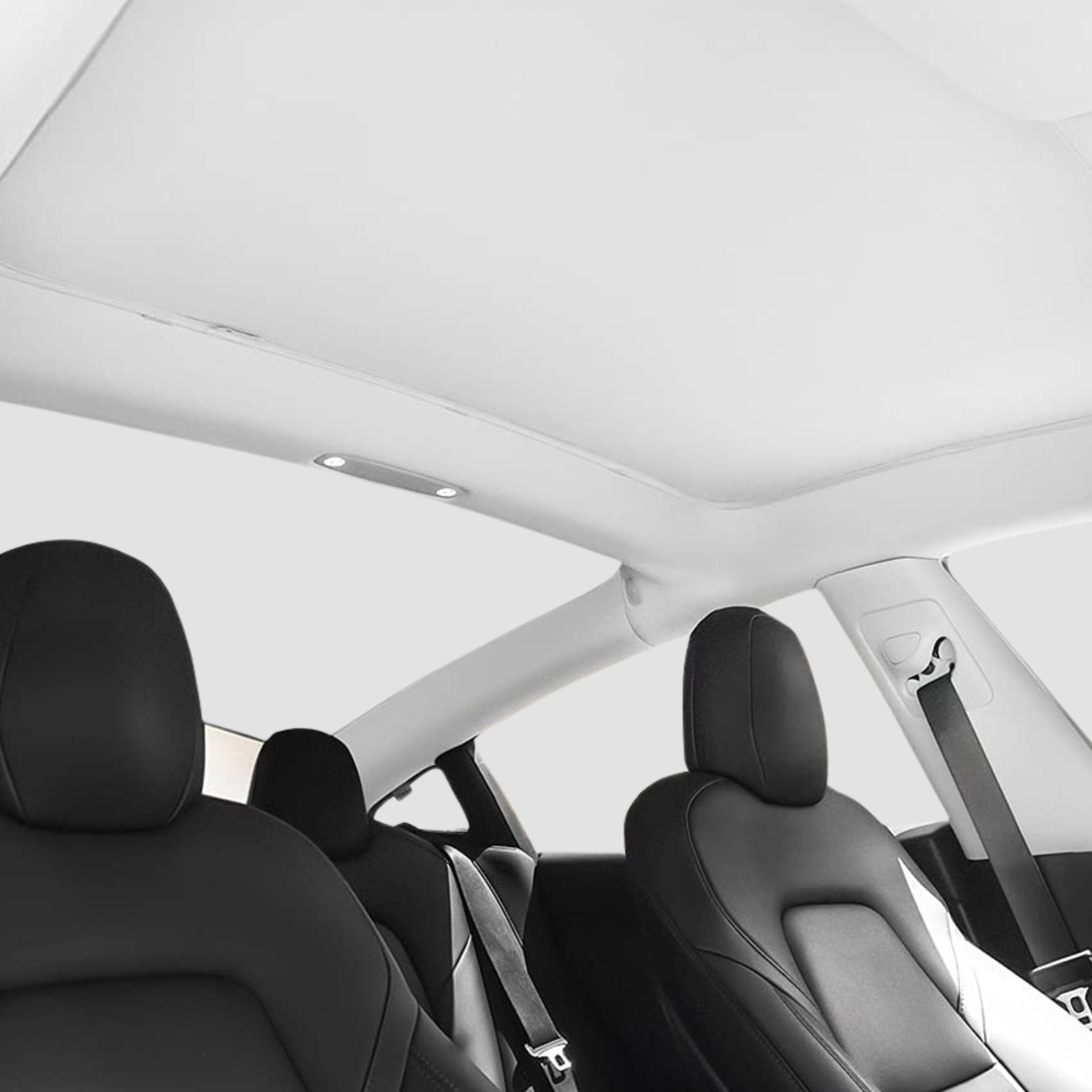 Sonnenschutz/Privacy Shield Tesla Model Y 7-Teilig – firstorganicbaby