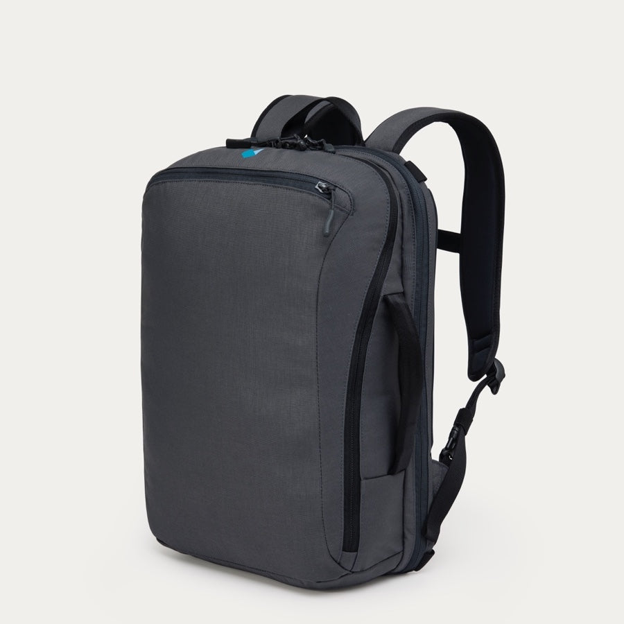 standard luggage daily backpack