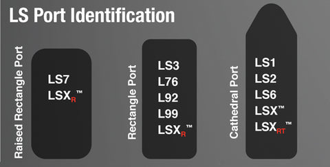 LS Port Identification