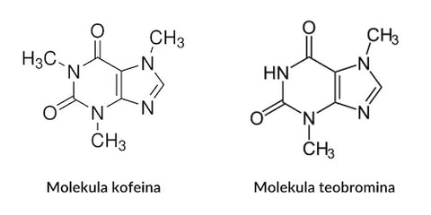 formula kofeina in teobromina