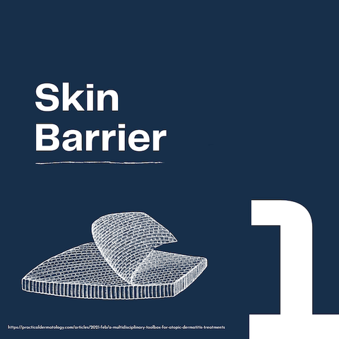 skin barrier