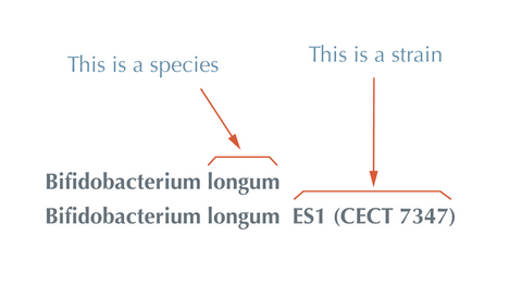 probiotic species versus probiotic strain