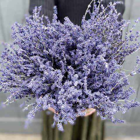 Dried lavender held outside eco gift shop in Henley-on-Thames