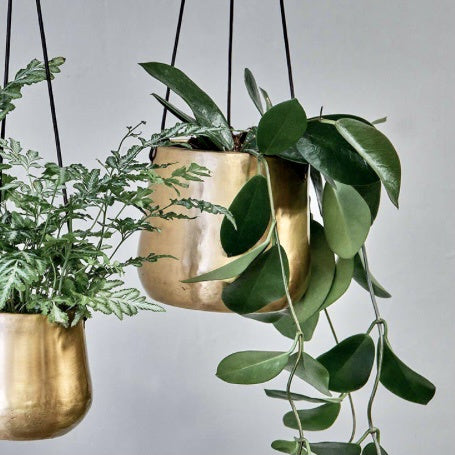 Hanging houseplants in sustainable gold plant pots