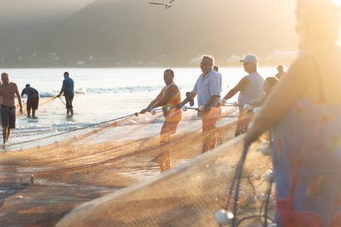 people holding fishing net on beach 