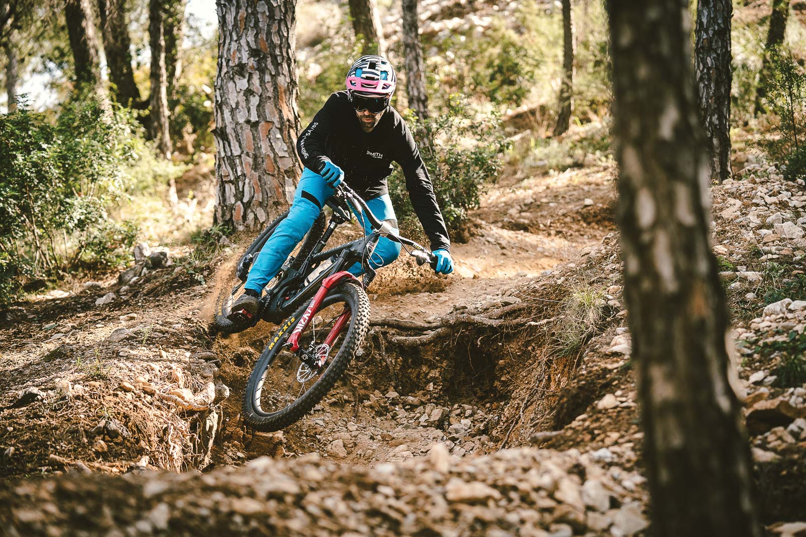 Iago shreddin in the woods