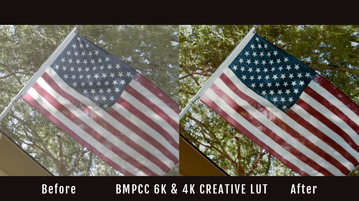 bmpcc 4k black and white lut