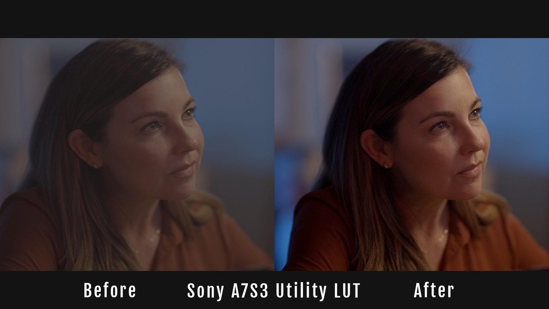 sony a7iii lut