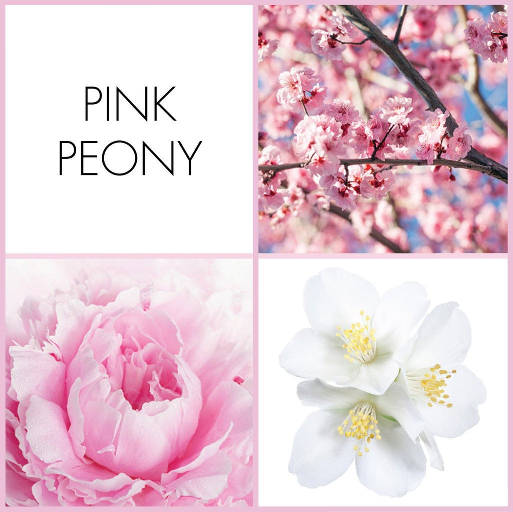note pink peony perfume