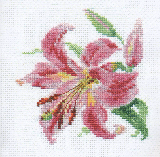 Yellow Lily (14 Count) - Counted Cross Stitch Kit 5.1 X 6.7: Stitch-It  Central