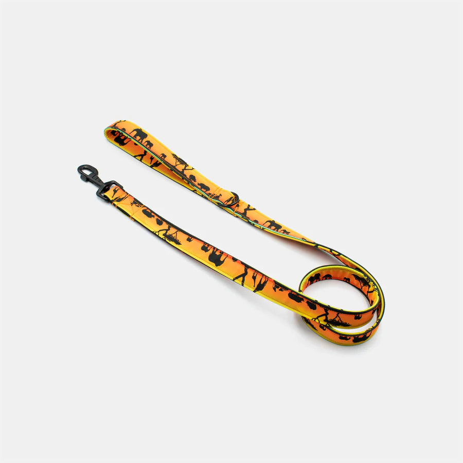 Safari leash