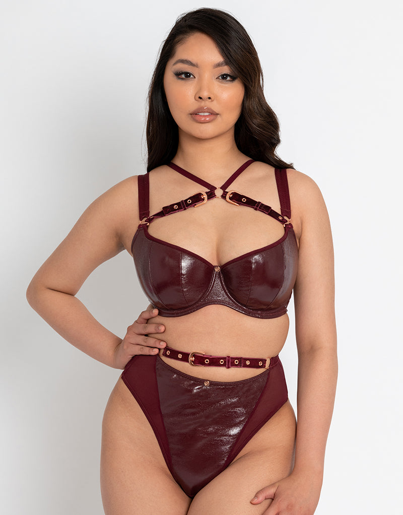 Scantilly Buckle Up Padded Half Cup Bra Oxblood