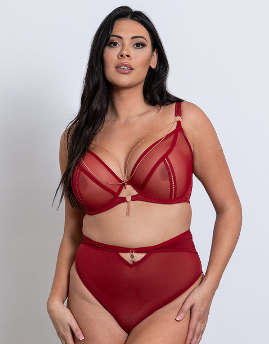 Scantilly - Indulgence stretch lace body in black/latte