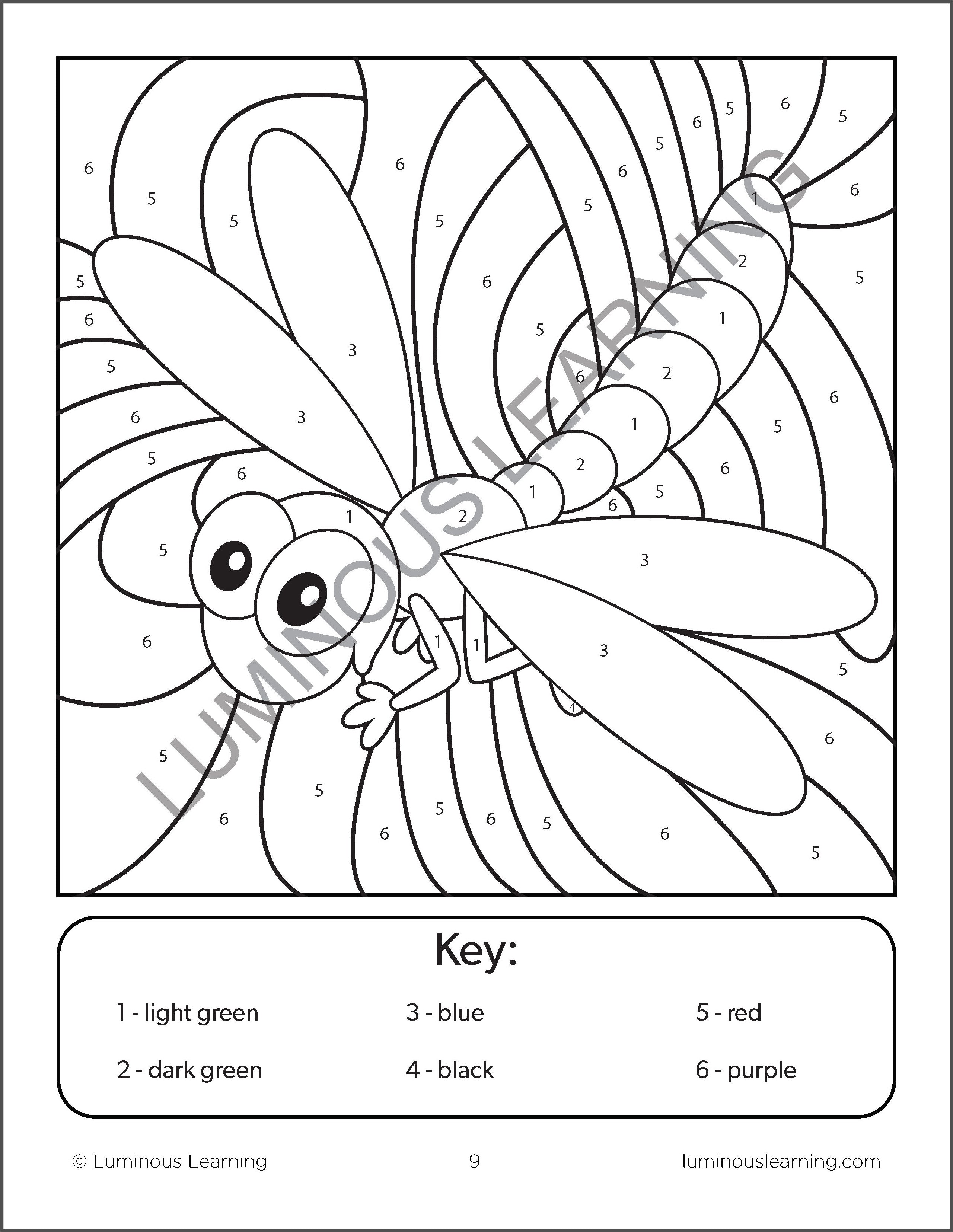 color by numbers bugs math activity book for kids